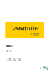 [企业诊断]XX公司诊断报告—华彩咨询集团经典案例下载(PPT 179页)(1)