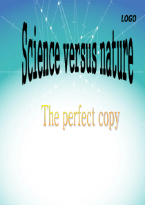 The-perfect-copy-(ppt)