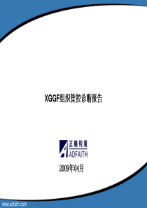 XGGF组织管控诊断报告