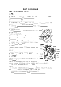 第四章代谢与平衡--第三节-体内物质的运输