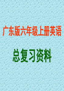 广东版六年级上册英语总复习资料