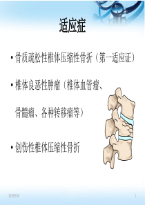 (培训课件)pkp球囊PPT幻灯片