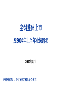 《BCG国内某著名钢铁企业咨询方案》