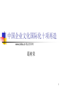 中国企业文化国际化十项再造（PPT 102页）