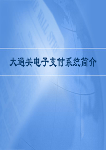 大通关电子支付系统