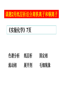 高中化学 “纸层析法分离混合物” 实验研究