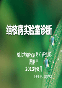 XXXX年湖北省结核病防治研究所实验室诊断(鲁进)