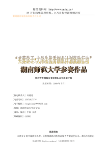 【斯玛特咨询服务有限责任公司商业计划】（DOC106页）