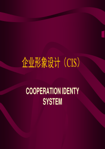 企业形象设计概述及实例(CIS)