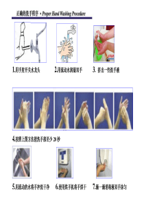 食品生产车间洗手消毒流程