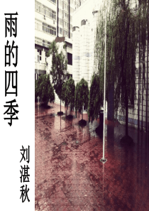 雨的四季PPT经典分析课件