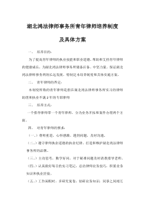 湖北鸿法律师事务所青年律师培养制度