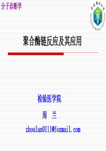 《分子诊断》PCR