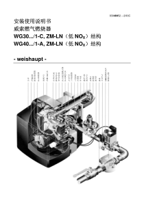 威索燃烧器说明书