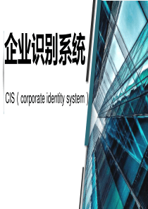 企业识别系统CIS