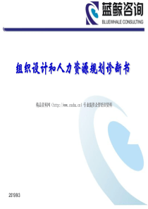 XX轻工装备公司组织设计和人力资源规划诊断报告(PPT70页)