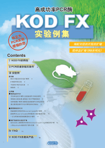 KOD FX使用说明书