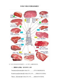 牛肉各个部位分布图及质地简介