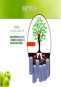 阿里巴巴绩效管理体系