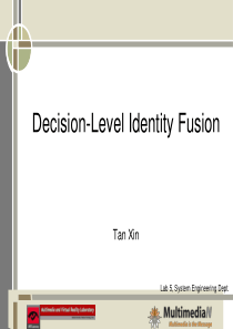 决策层特征融合decision level identity fusion