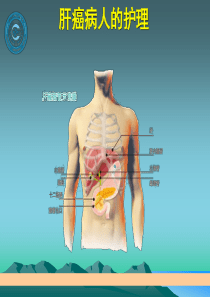 肝癌病人的护理ppt