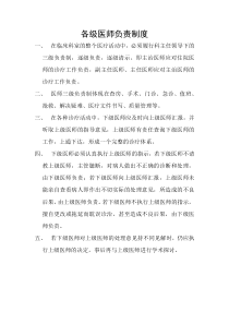 各级医师负责制度