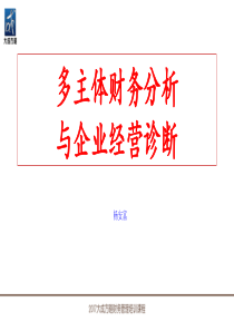 《多主体财务分析与企业经营诊断》