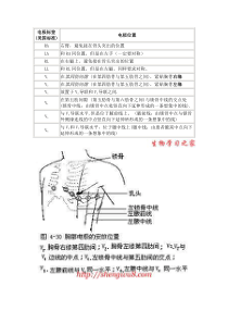 心电图导联位置