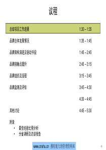 中国移动集团品牌咨询报告