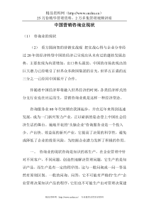 中国营销咨询业现状doc21