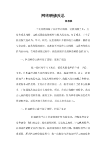 网络研修反思