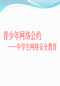 中学生网络安全教育PPT课件