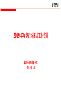 2019年现费市场拓展工作安排