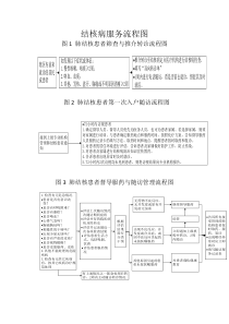 结核病服务流程图