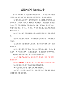 污水处理常见微生物高清晰照片及说明