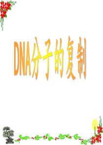 DNA分子的复制PPT课件