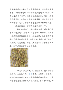 苍耳子偏方治鼻炎