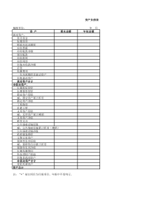 政府会计财务报表及预算报表(2019年)