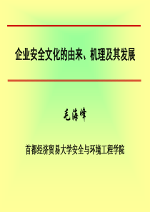 企业安全文化的由来、机理及其发展(毛海峰)