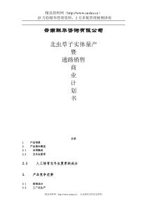 云南联华咨询有限公司商业计划书（DOC44页）