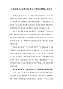 参加非公企业党组织书记示范培训班的心得体会