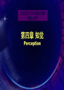 第四章知觉Perception知识讲解