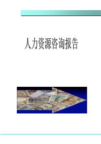 人力资源咨询报告（PPT 36页）