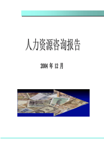 人力资源咨询报告（PPT36页）