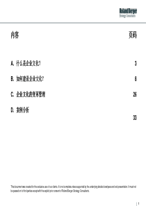 企业文化(罗兰)