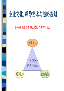 企业文化,领导艺术与战略规划讲座