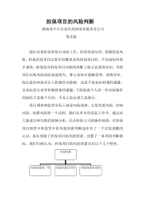 担保项目的风险判断