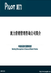 派力营销企业形象宣传推广模板