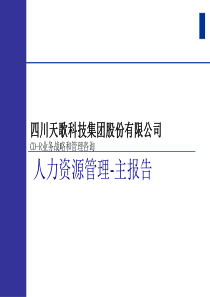 人力资源管理咨询报告