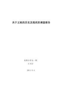 关于王姓的历史及现状的调查报告